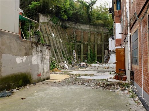 back alley surprise: find the chickens