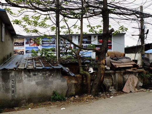 Ferrari's and cast off sofas