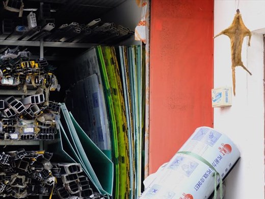 metal shop plus squirrel hide