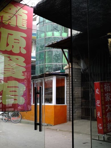 view from our lunch table