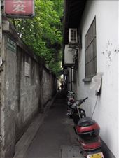 barber pole and all: by chinaho, Views[165]