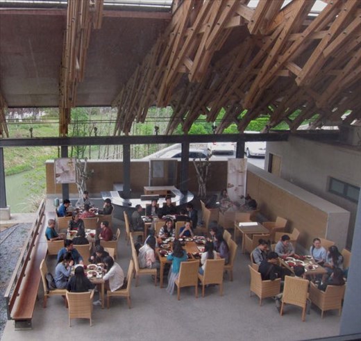 the big lunch bunch out back