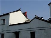 old roof and new solar hot water: by chinaho, Views[145]