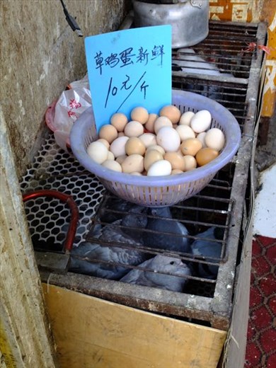 pigeons and eggs