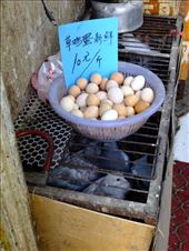 pigeons and eggs: by chinaho, Views[156]