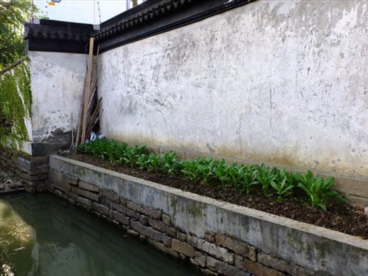 canal wall side garden