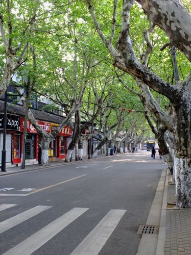 a main tourist street before the tourists