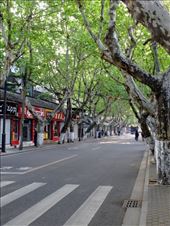 a main tourist street before the tourists: by chinaho, Views[172]
