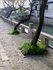 outside Couples Retreat Garden: by chinaho, Views[150]