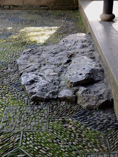 stone step in garden