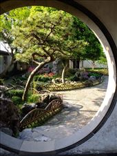 Couples Retreat Garden view of grass garden: by chinaho, Views[98]