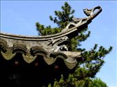 roof creature detail: by chinaho, Views[148]