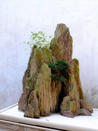 Bonsai mountain, Couple Retreat Garden