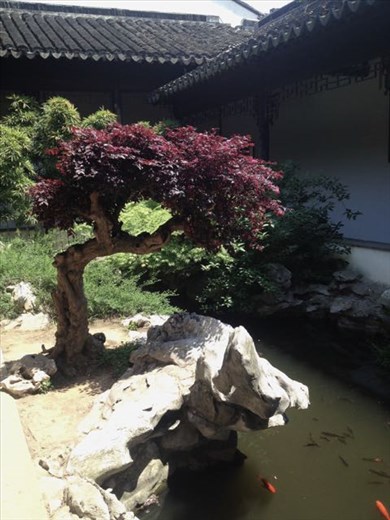 Garden Museum inner garden courtyard