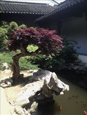 Garden Museum inner garden courtyard: by chinaho, Views[97]
