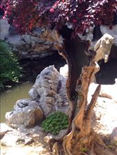 hollow trunk, garden beauty: by chinaho, Views[120]