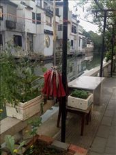 side garden with drying mop: by chinaho, Views[127]