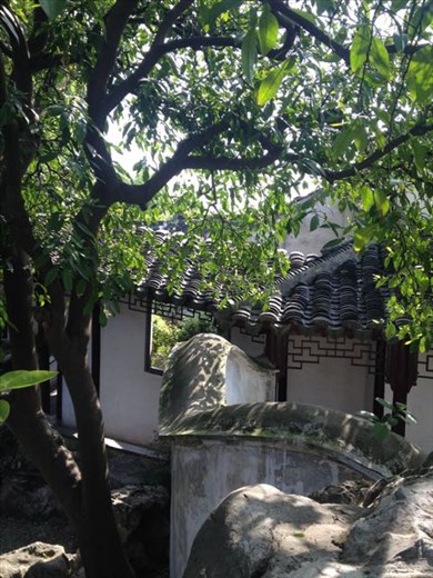 Couple Retreat Garden from climbing Rocks