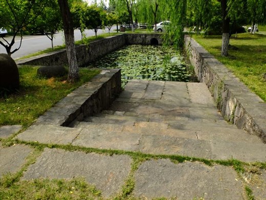 lily pond on campus