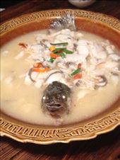 dinner fish: here's looking at you kid: by chinaho, Views[254]