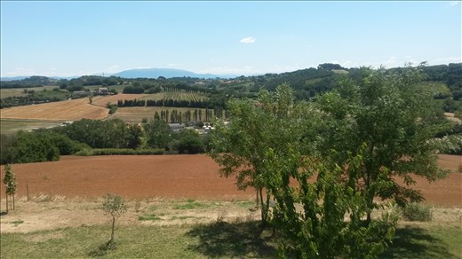The fields of Perugia