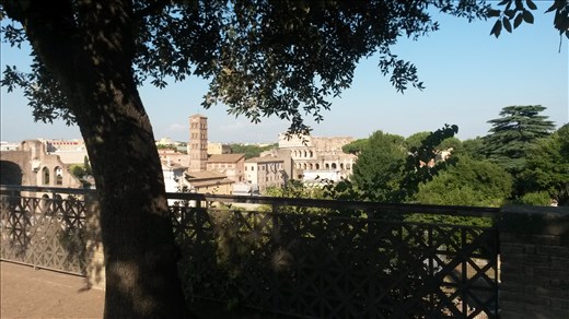 Views from the Roman Forum 
