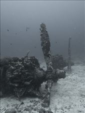 Royal Australian Air Force PBY Catalina A24-11 lies wrecked in 20 meters of water near the entrance of Kavieng's harbor. After refueling one of the bombs on board exploded when the Catalina accidentally hit  a swell during take off. The entire crew was killed.: by chloew, Views[662]