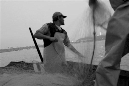 Sea lions break their fishing nets and lose the fishing.