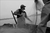 Sea lions break their fishing nets and lose the fishing.: by chorrillos, Views[354]