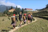 Walking through rice paddies, getting followed by Red Dao women trying to sell us stuff: by chris_and_dusk, Views[215]