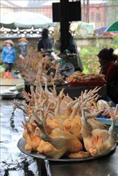 Chickens at the market: by chris_and_dusk, Views[249]