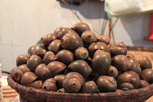 snails at the market