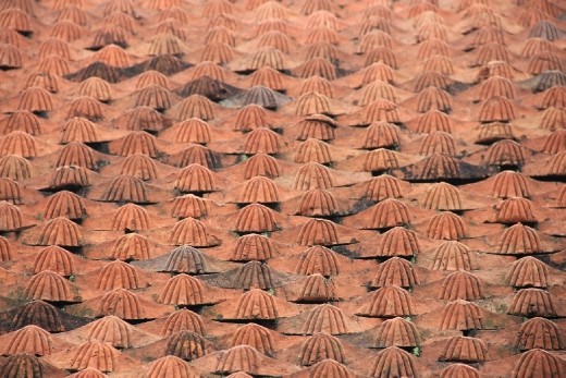roof tiles at the temple of lliterature