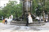 The wedding photo spot in Hanoi: by chris_and_dusk, Views[398]