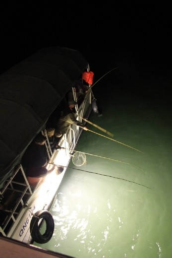 Having a go at squid fishing