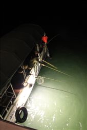 Having a go at squid fishing: by chris_and_dusk, Views[242]