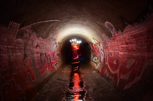 In a burst of light, a secret world erupts around you. An art scene only open to those who would care to explore.