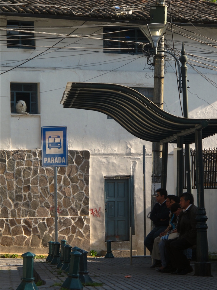 'Planet of the Canines'

An odd and rather comic sight greets our eyes as we reach the plaza near the bottom of Guapulo. The day is just getting started as a small group of townspeople await the bus to take them off to work. 

Yet just behind and above them, man's best friend is seen living the good life, overseeing them through the comfort of its window (almost like a sentinel) but merely just living the good life... of doing utterly nothing all day. 