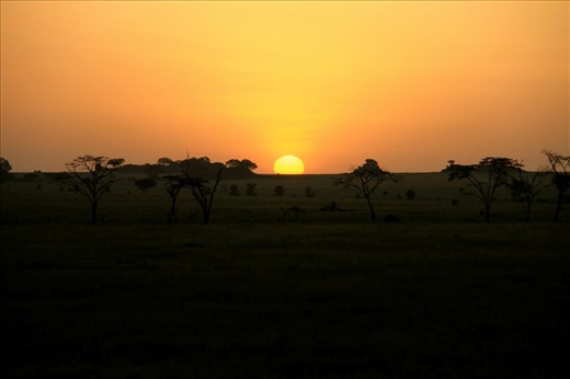 Sun peeking over the horizon to signal the start of another wonderful day exploring the Serengeti.