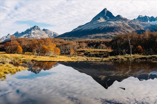 Valle De Lobos, Ushuaia, Argentina - In 1946, Beavers were brought from Canada to build a fur industry. But it didn't work, as the environment for the Beaver was so different, they developed a different fur/skin that didn't work for commercial purposes. So instead of taking the beavers back to canada or killed them. They released them into the wild, causing a major impact. This photo was only possible because of an overflown river caused by a dam creating a little lake in the area.