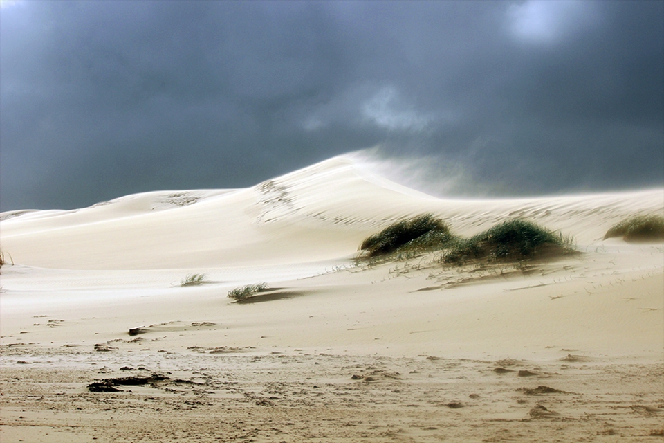 Powerful winds attack the beachhead in an impending storm.