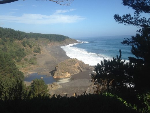 Kitchen view, on a prettier day.