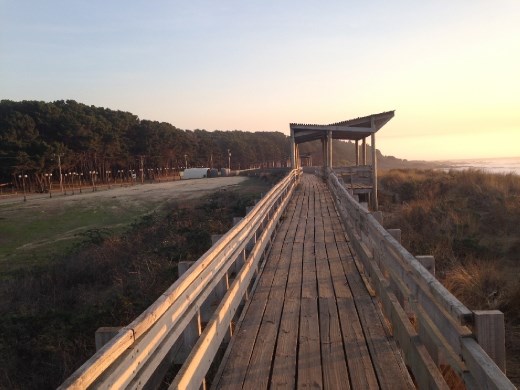 beach walkway.