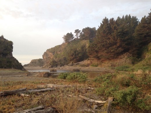 Looking up toward kitchen window, from beach below Max's house.