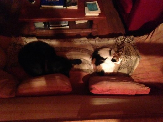 Too cute not to share.