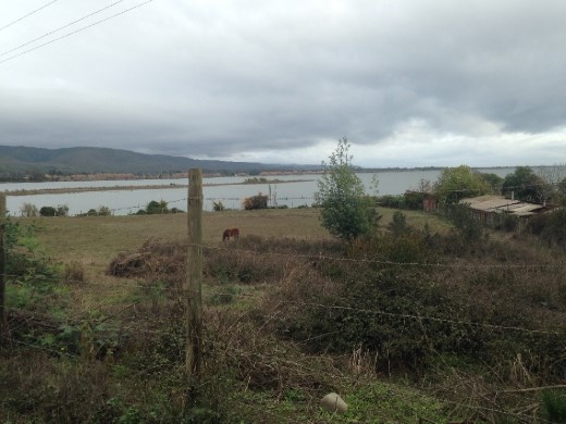 Mouth of river Itata. The golden trees along the bank are actually dried out from the salt water from the 2010 tsunami. After traveling south, we hit this river and turned east to get to the main hwy rest of the way to Concepcion.