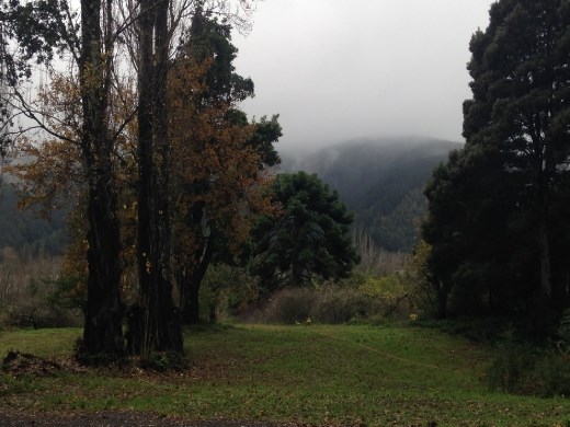 View from Paulo's office, across the road from his house/property.