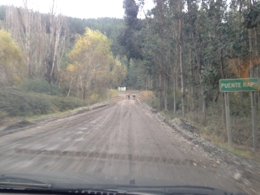 On our return trip to Max's, heading west along Itata river.