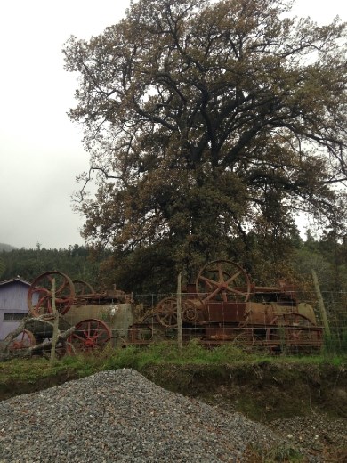 Steam engines in someone's yard, along the way back to Max's.