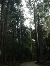 by christinebaker, Views[161]